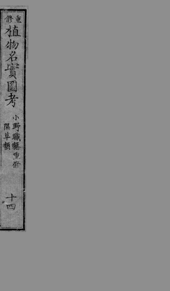植物名实图考  14
